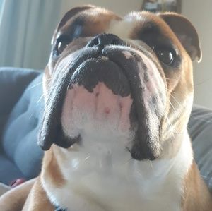 Meet your Posher, Kristin